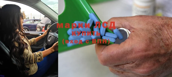 прущие грибы Вязники