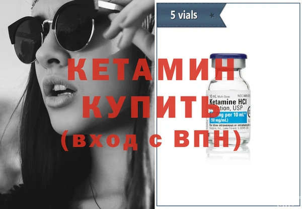 прущие грибы Вязники