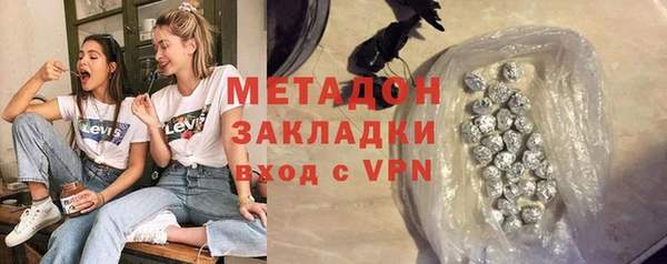 прущие грибы Вязники